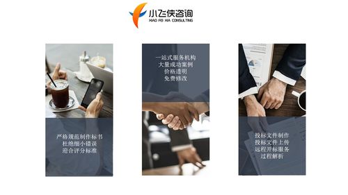 2021巴中投標書制作公司,專注做標書 小飛俠價格低